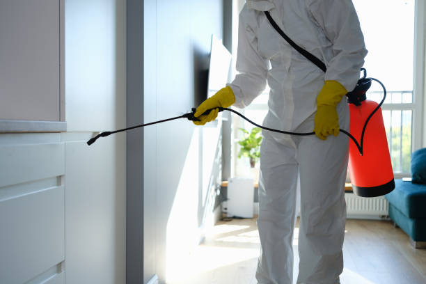 Best Home Mold Removal  in Waynesburg, OH