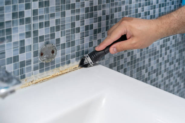 Best Professional Mold Removal  in Waynesburg, OH
